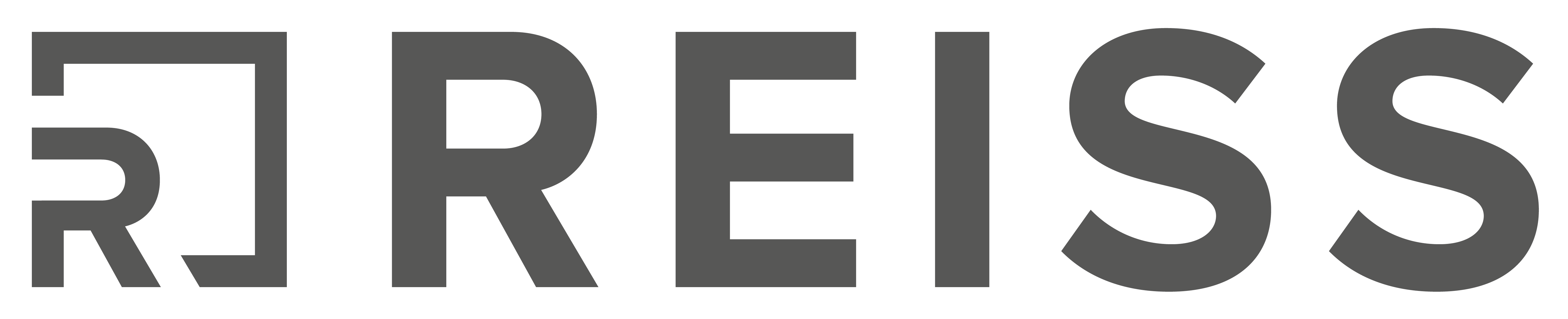 reiss-logo-aktuell3